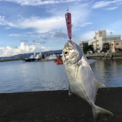 定番のメッキポイントその2