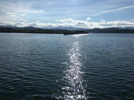 コアジ大漁80匹