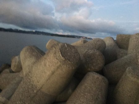 コアジ53匹、メッキ1匹