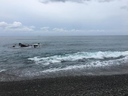 日置大浜にシマアジはいない