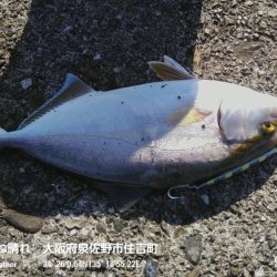 久しぶりの投稿です。