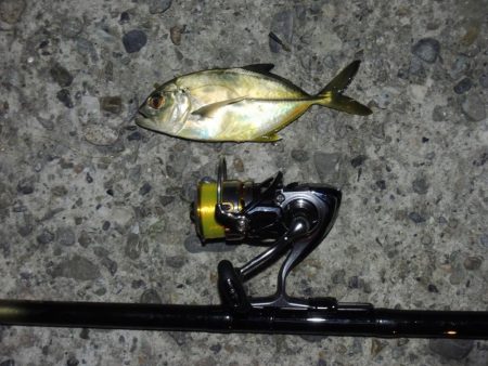 初秋のエビ撒き釣り