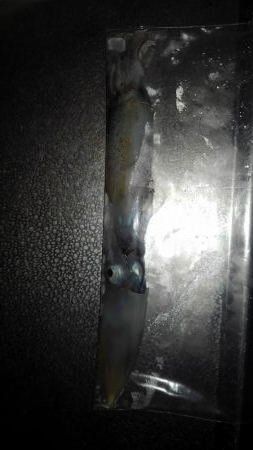 ライトエギング