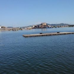 キスとミドリガメ