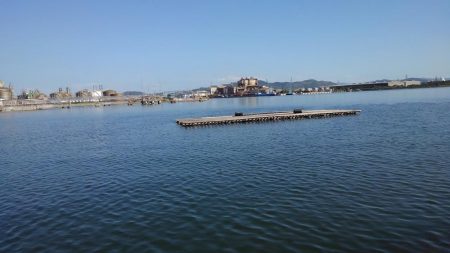 キスとミドリガメ