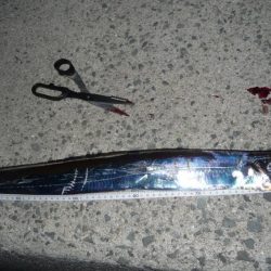 ドラゴンならず;;