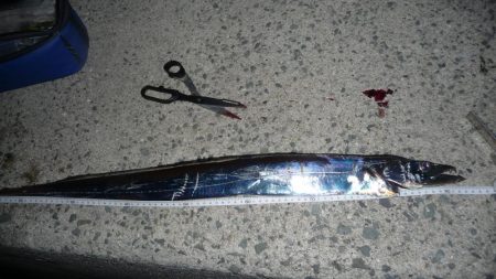 ドラゴンならず;;