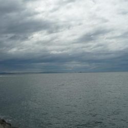 今日も太刀のみ。。