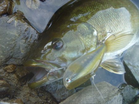 バイブレーションを