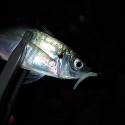 外向きと内向き!