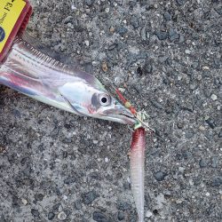 ワインドでガツンっとカウンターヒット!