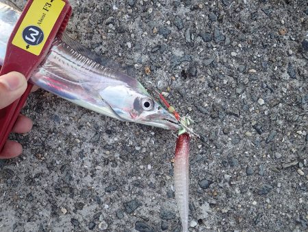 ワインドでガツンっとカウンターヒット!