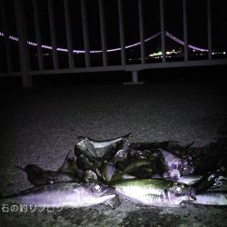 晩のおかず釣り