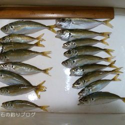 ファミリーフィッシング＆泳がせのイカ狙い