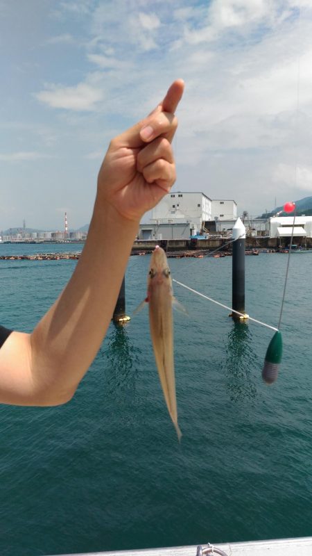 真昼間のキス釣り