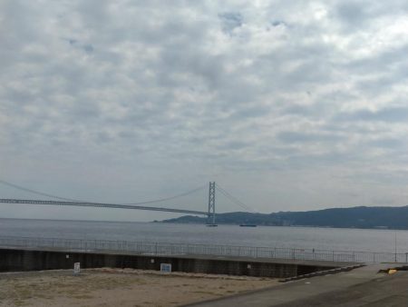 大蔵海岸　青物調査