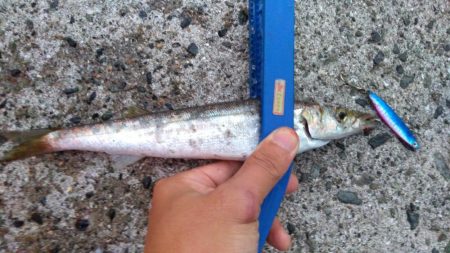 台風後の海は？