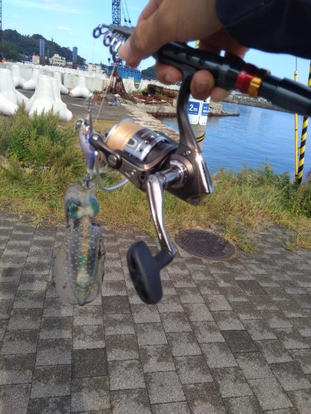 台風後の輪島マリンタウン