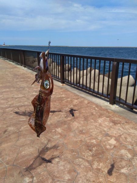 輪島マリンタウン