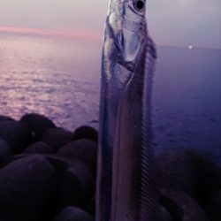 淡路の夜明けにサーべリング〜牙狩り師