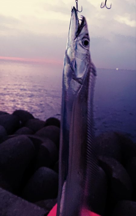 淡路の夜明けにサーべリング〜牙狩り師