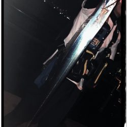 神戸空港でタチウオとツバス