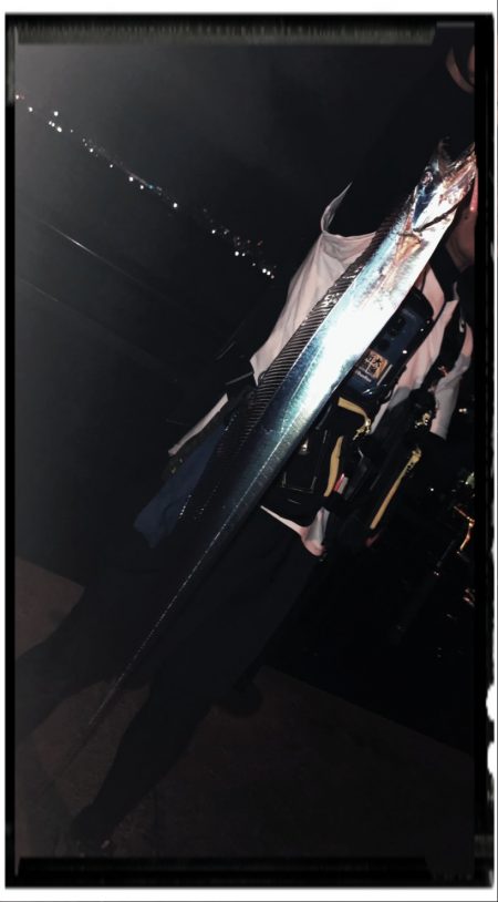 神戸空港でタチウオとツバス