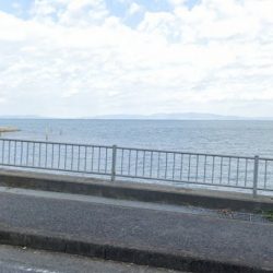 スズメバチ(>_<)