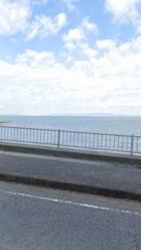 スズメバチ(>_<)