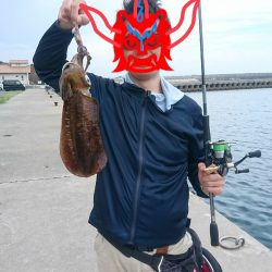 旅先で湾内短時間釣行