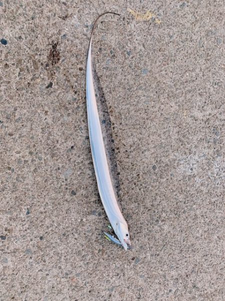 トゥーフィンガーは勿論リリース