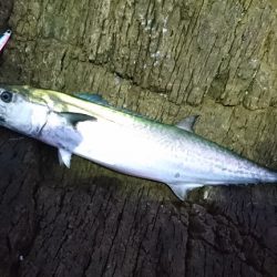 上向きになってきた。