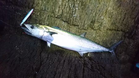 上向きになってきた。