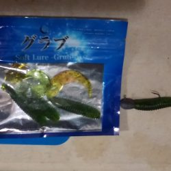 淡路島リベンジ