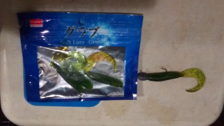 淡路島リベンジ