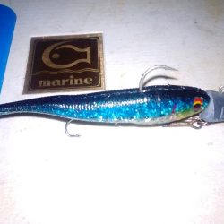 今シーズ初太刀魚です。