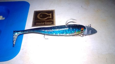 今シーズ初太刀魚です。