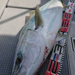 IDATEN(イダテン) 釣果