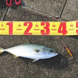 先輩が大物を！！