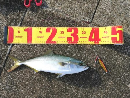 先輩が大物を！！