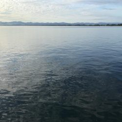 サゴシ、タチウオ爆釣!!!