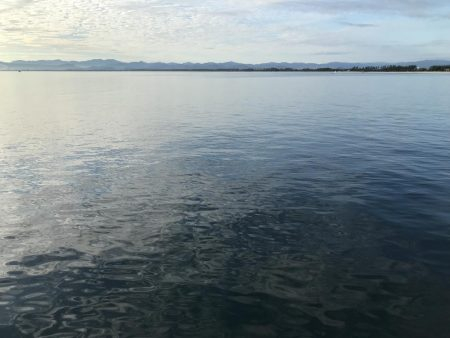 サゴシ、タチウオ爆釣!!!