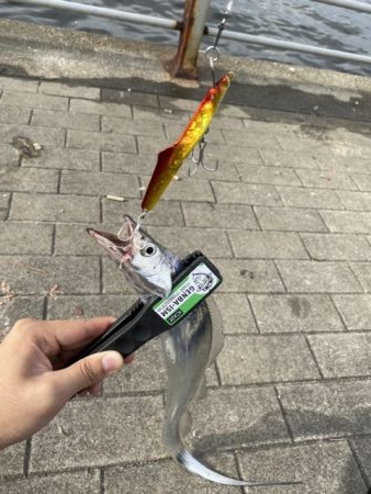 コスモスクエアにて!