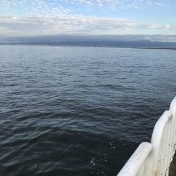 サビキも不調(°_°)