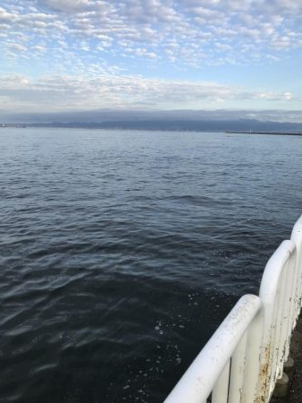 サビキも不調(°_°)