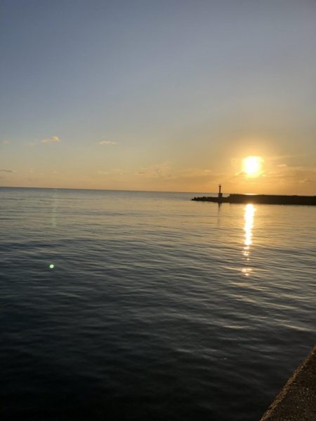 小さなサゴシの回遊アリ