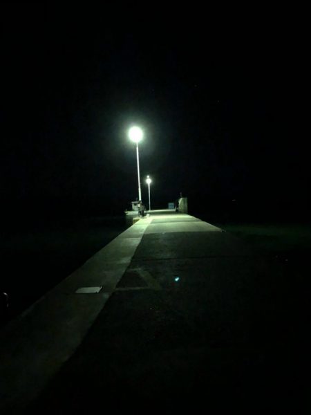 イカ調査今年３回目！