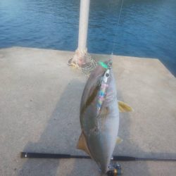 サバフグの果てに