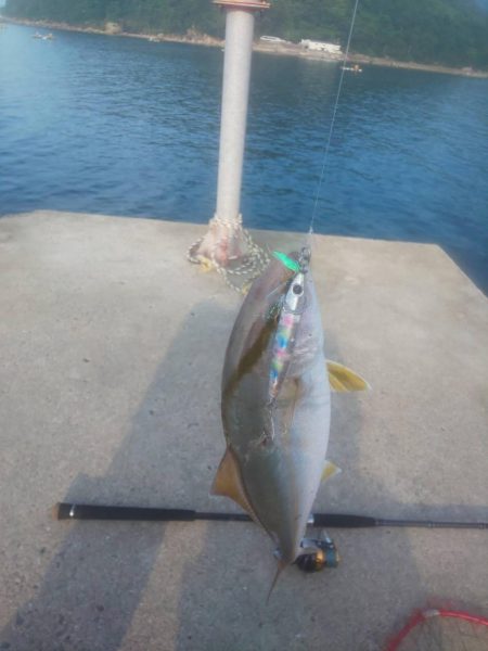 サバフグの果てに