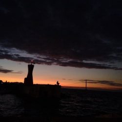 ブラクリ釣り（エギング）